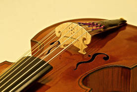 музыкальный инструмент виола