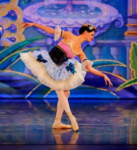 Что такое балет, история балета