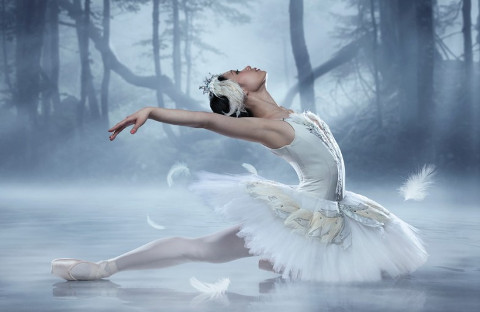 балет «Лебединое озеро»
