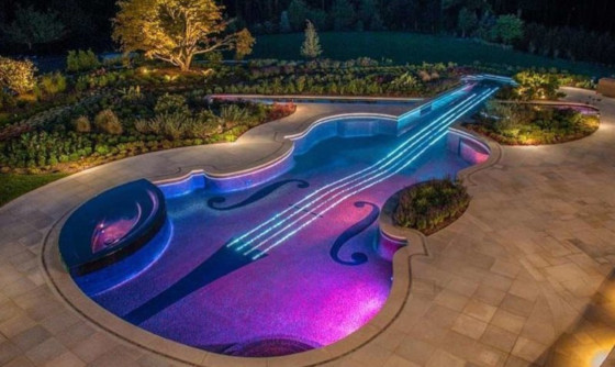 бассейн в форме скрипки