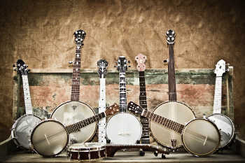 разновидности банджо