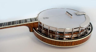 музыкальный инструмент банджо