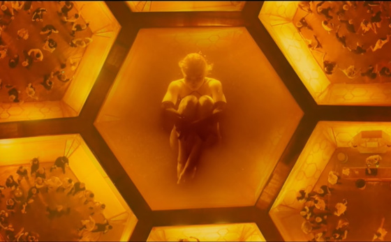 кадр из клипа «Пчеловод»