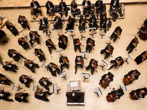 интересные факты о симфоническом оркестре